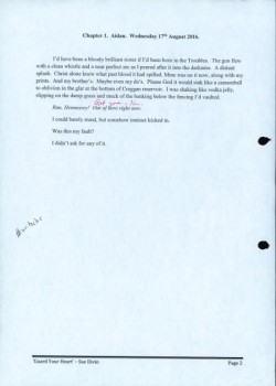 (2)_v0_web