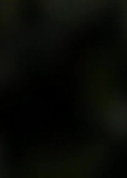 (5)_v0_web