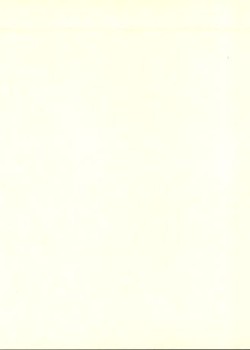 (2)_v0_web