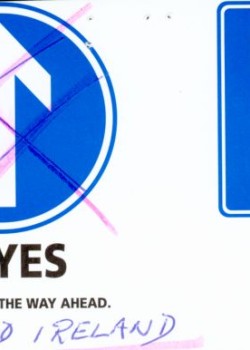 (11)_v0_web