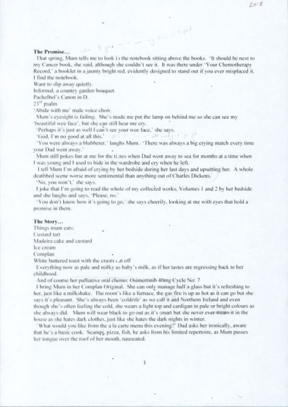 (17)_v0_web.jpg - 
