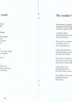 (31)_v0_web