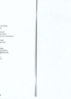 (36)_v0_web