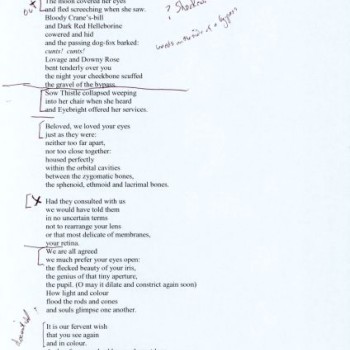 (3)_v0_web.jpg AnnZell 4