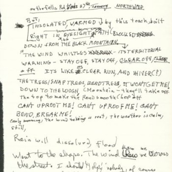 (7)_v0_web.jpg AnnZell 3
